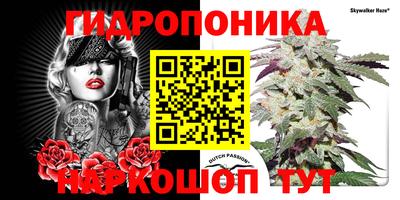 дурь Аргун