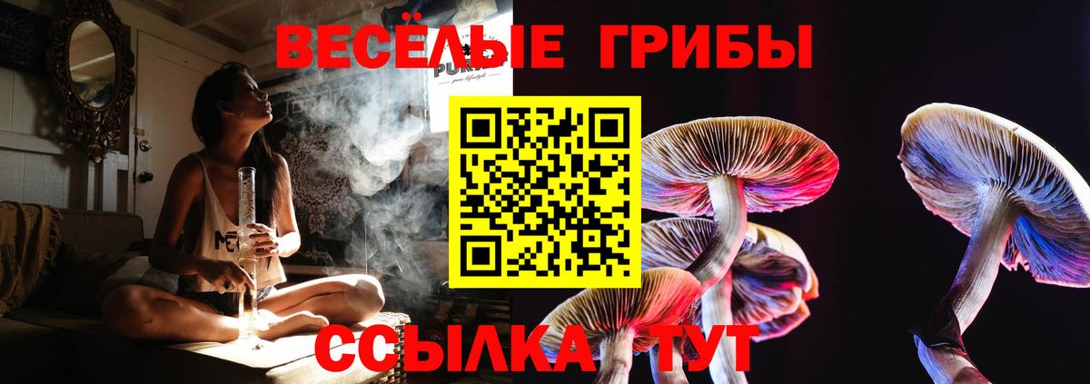 Галлюциногенные грибы мицелий  Псилоцибиновые грибы Psilocybe  Вход с VPN  Аргун 